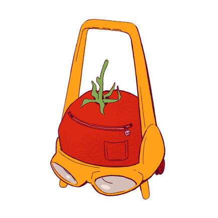 tomato suitcase